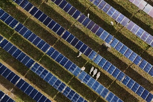 ‘The sheer expense is going to be staggering’: Proposed USDA rule overhaul spills over to energy projects
