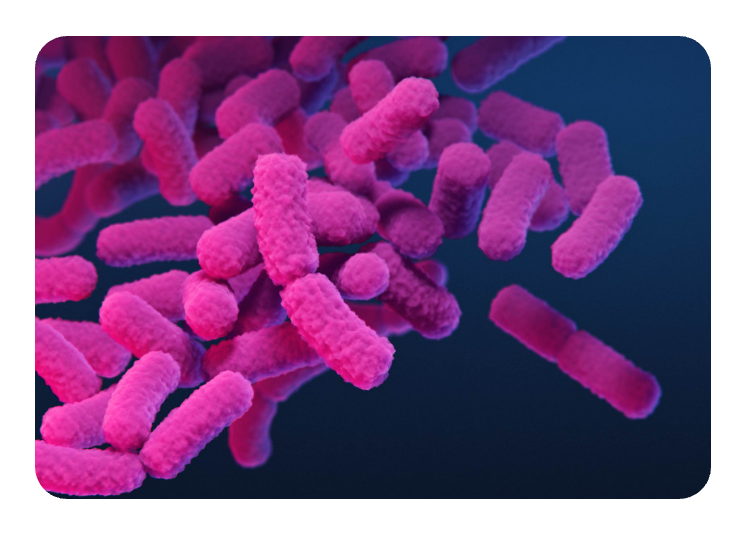 Health Department Abruptly Cancels Health Research Grants Worth Millions