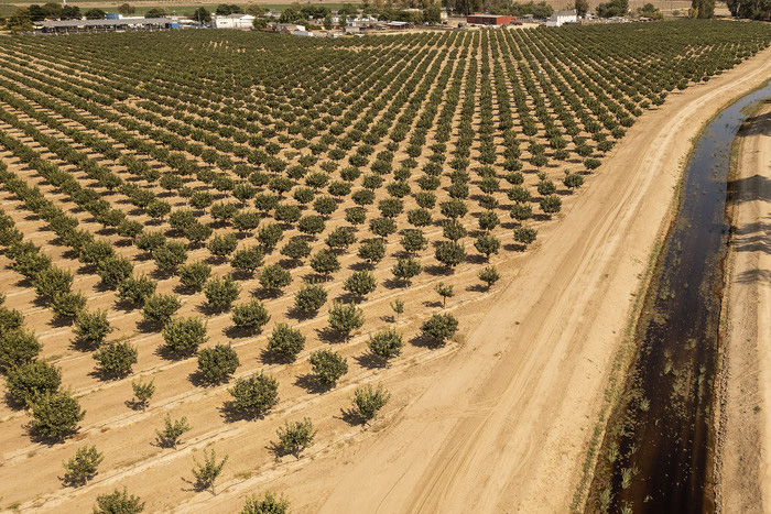 California places farming barons on groundwater probation