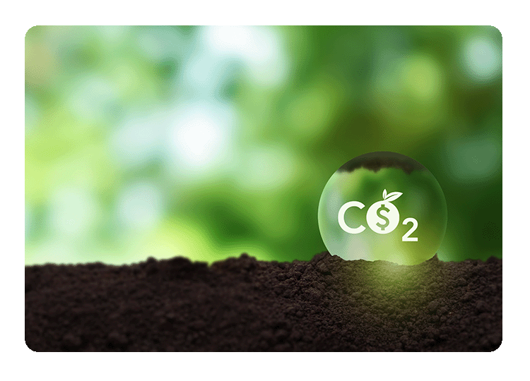 Climate offset proposal returns in California, with opponents taking notice
