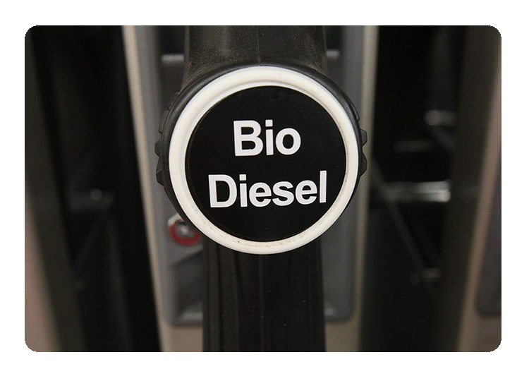 Biden EPA's renewable fuel rule disappoints biodiesel makers